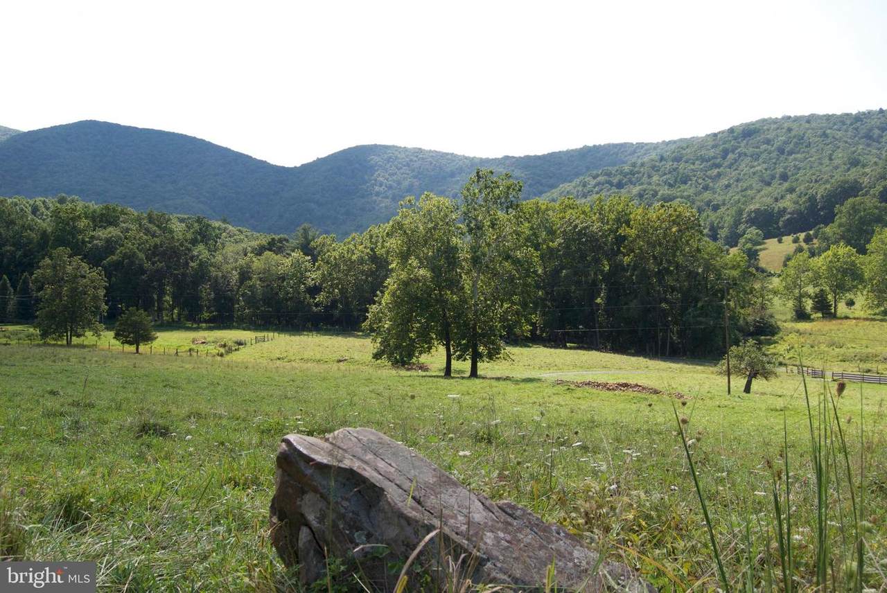 Gooney Manor Loop - Photo 1