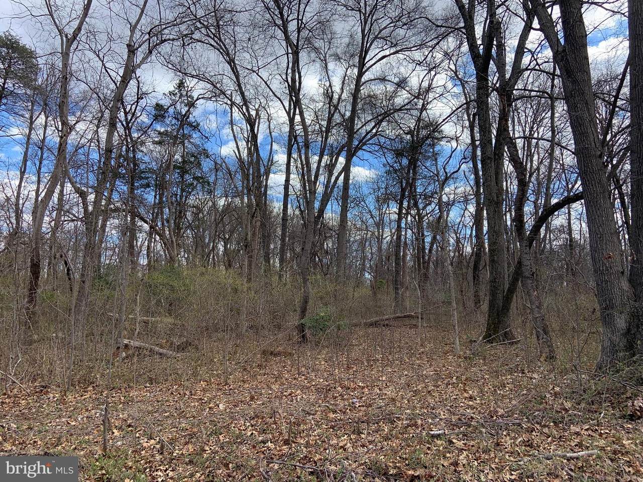 16130 Thoroughfare Road - Photo 1
