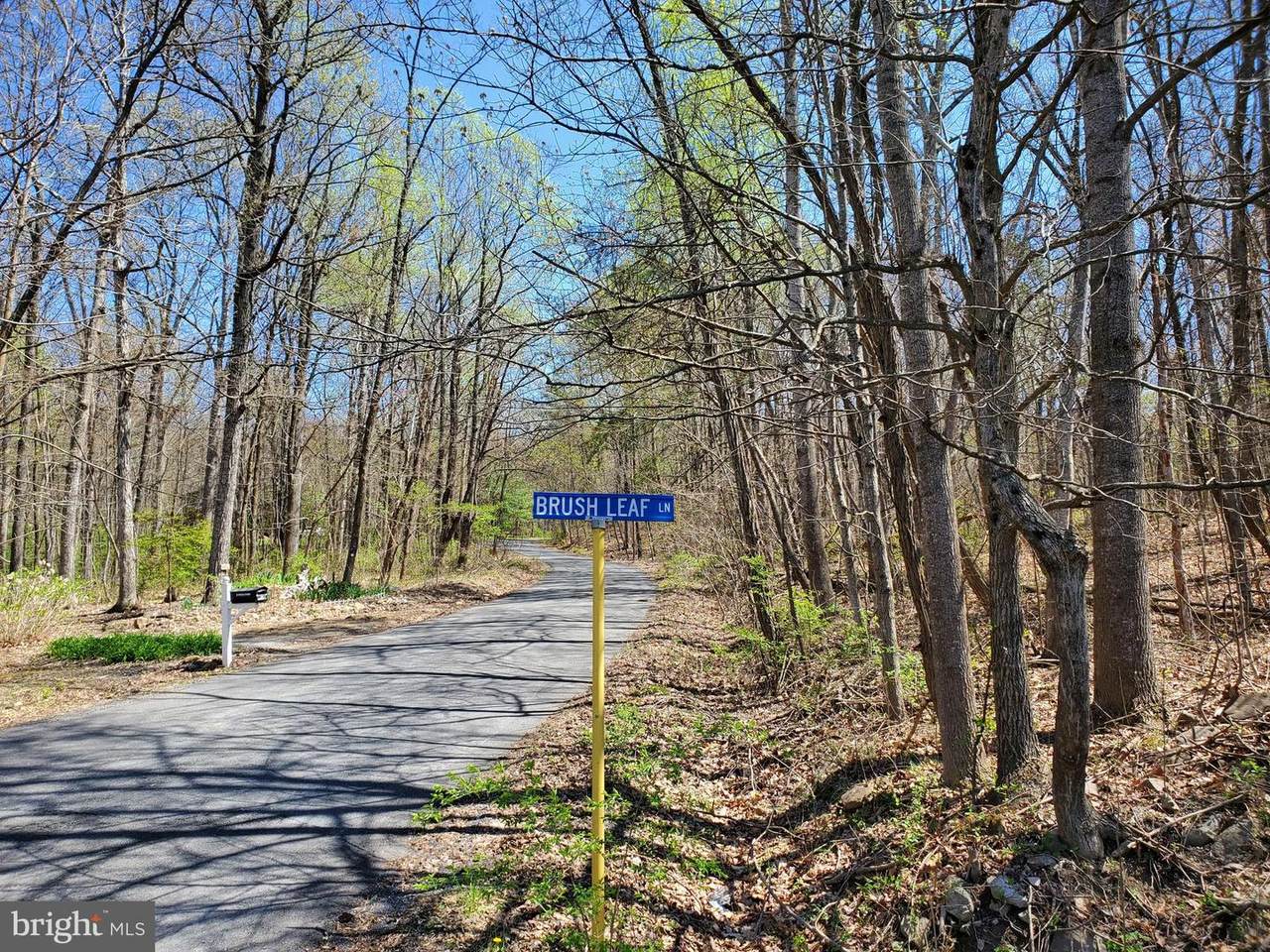 Brush Leaf Lane - Photo 1