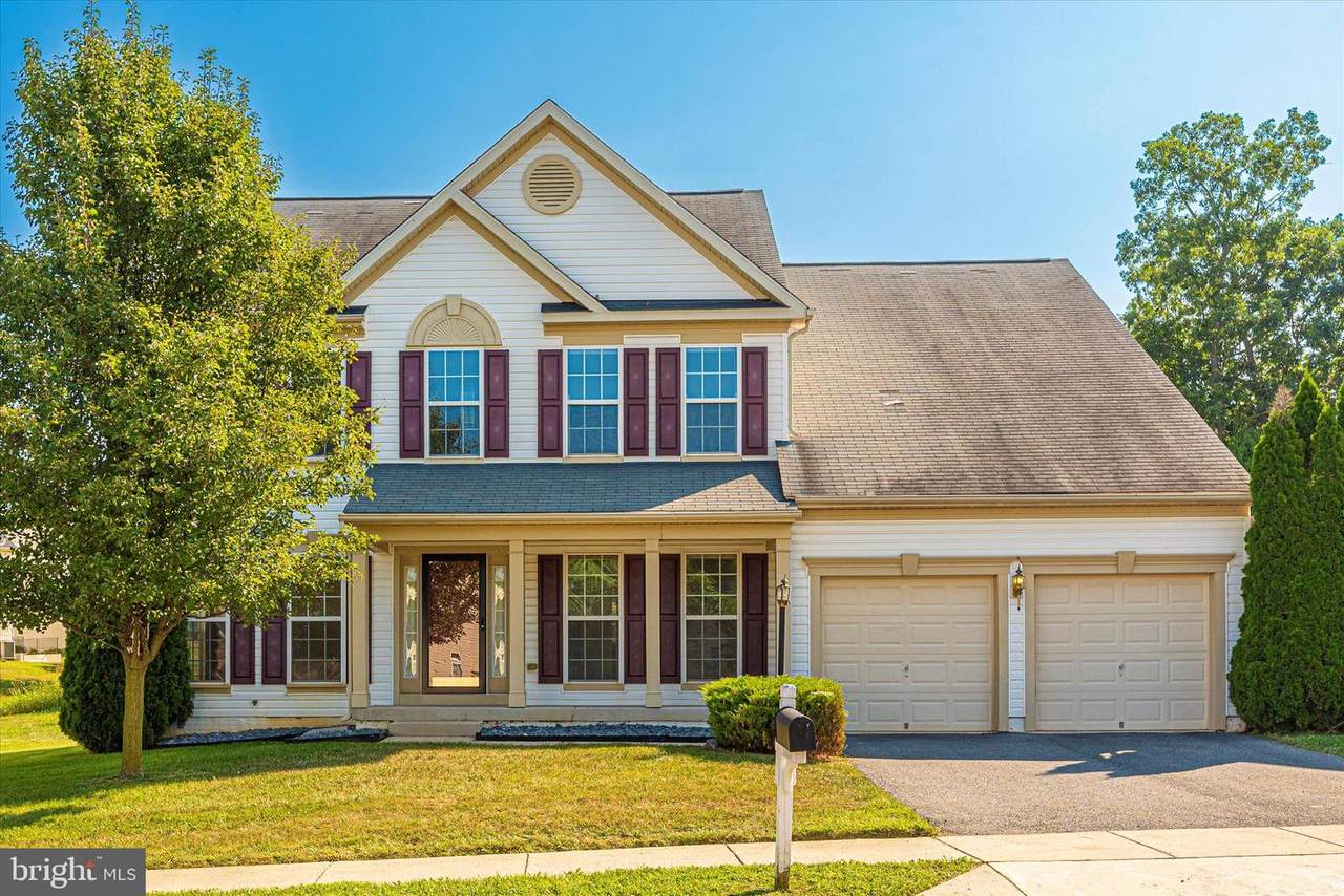 12443 Fallen Timbers Circle - Photo 1