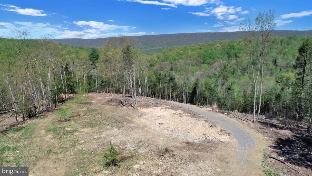 Sugar Run Road - Photo 1