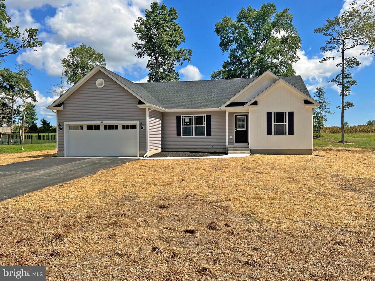 22299 Holly Oak Lane - Photo 1