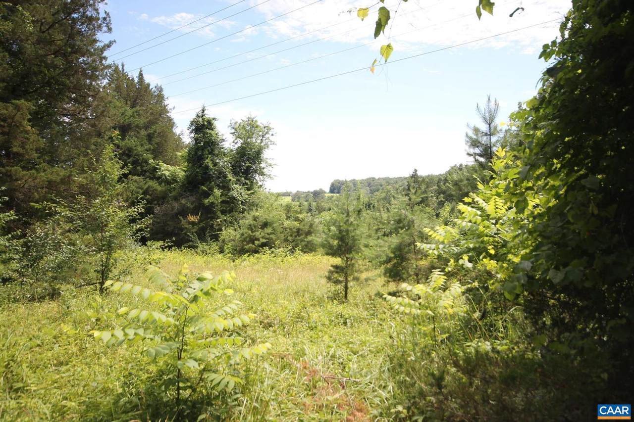 Lot 6 Welsh Run Rd - Photo 1