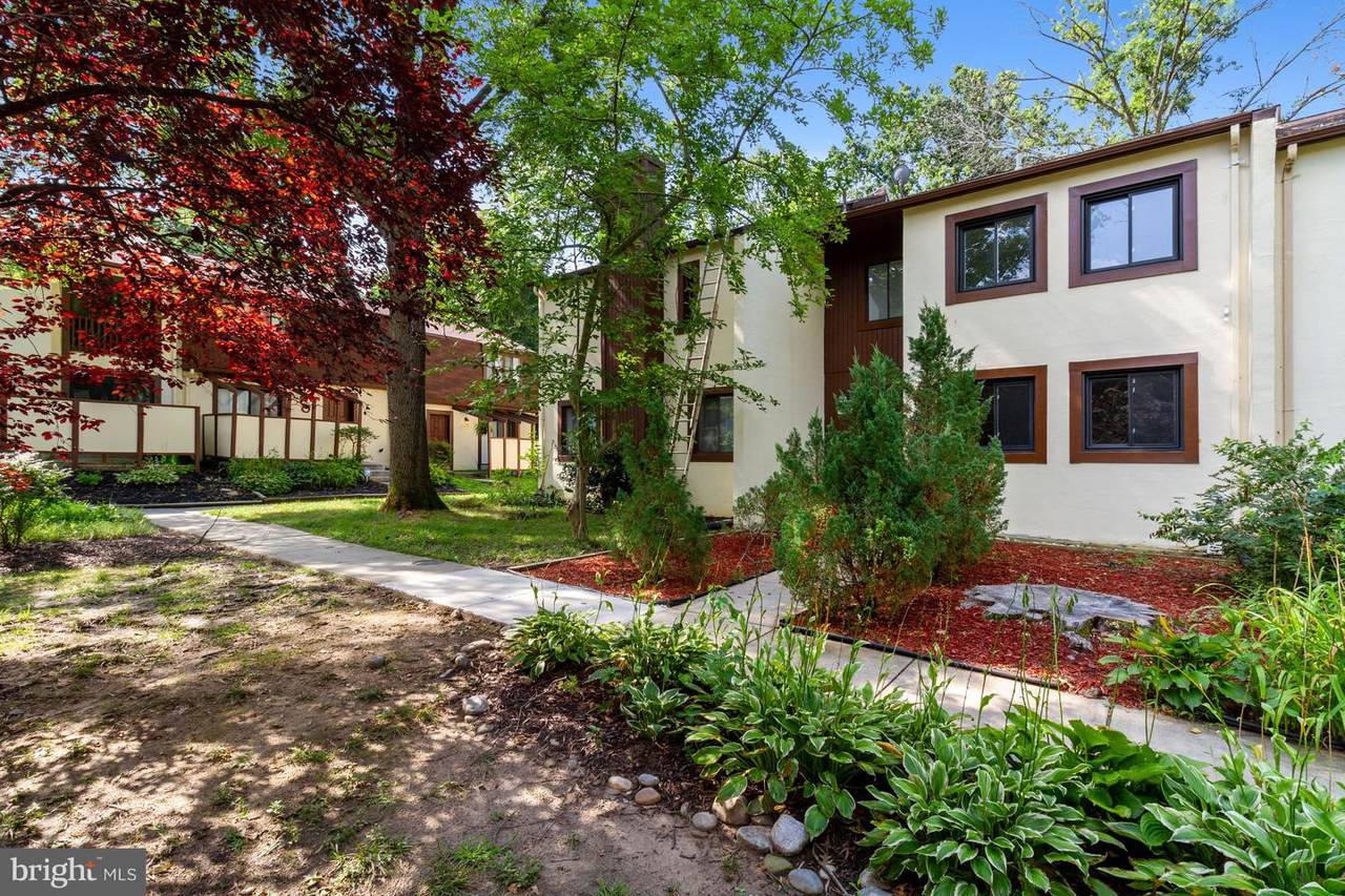5485 Wild Lilac - Photo 1