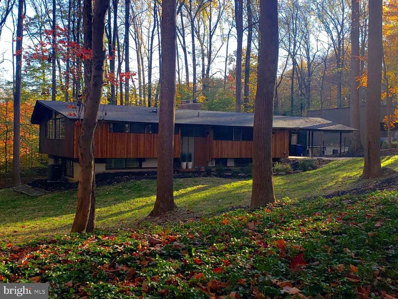 10916 Picasso Lane - Photo 1