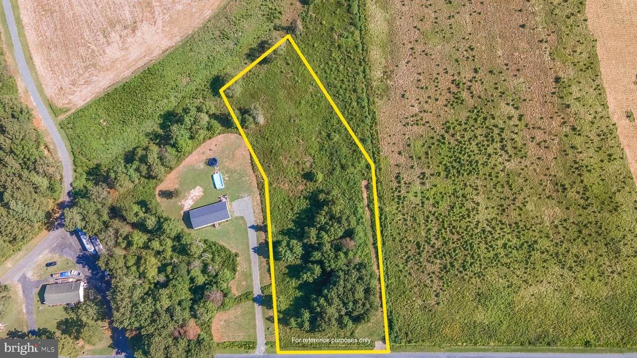 34106 Wango Road - Photo 1