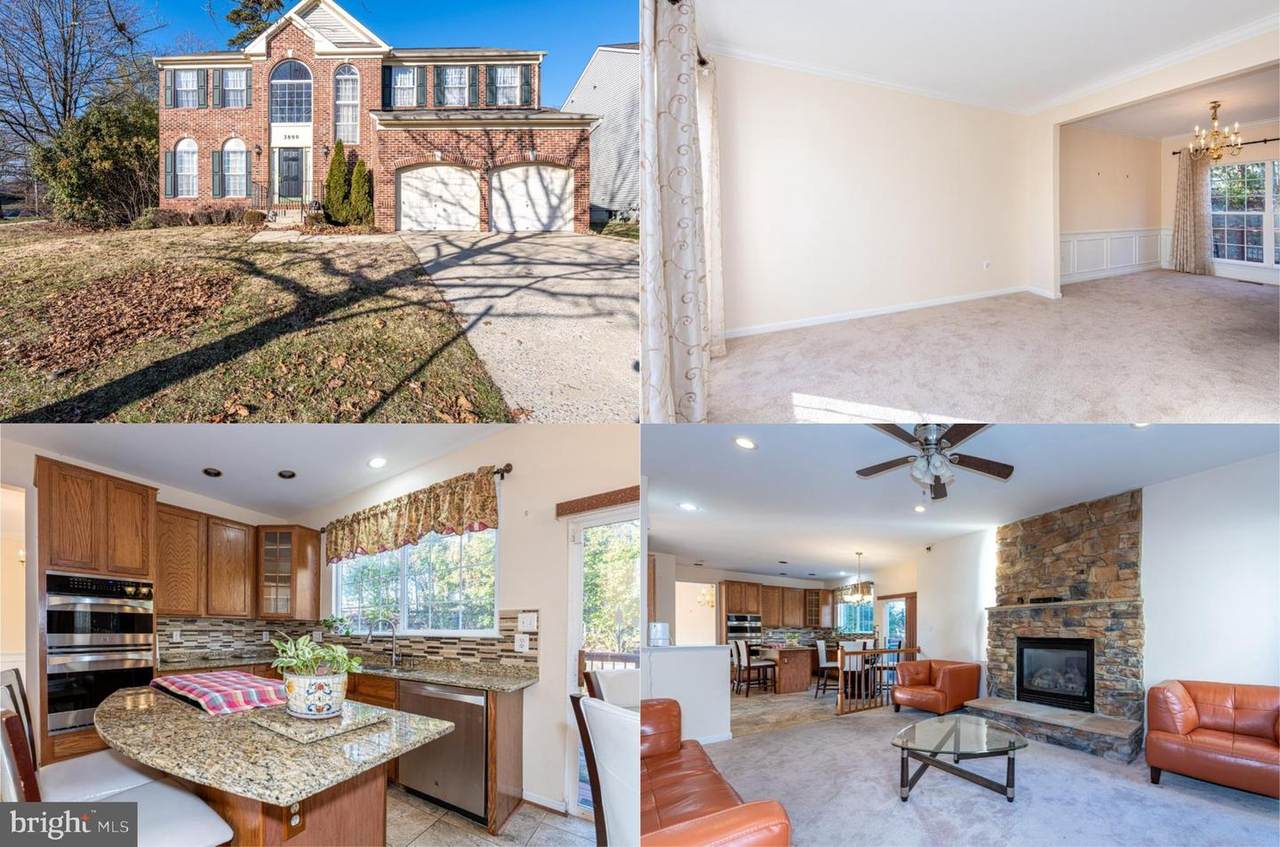 3800 Cotton Tree Lane - Photo 1