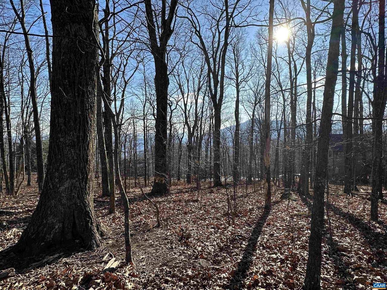 67 Dogwood Rd - Photo 1