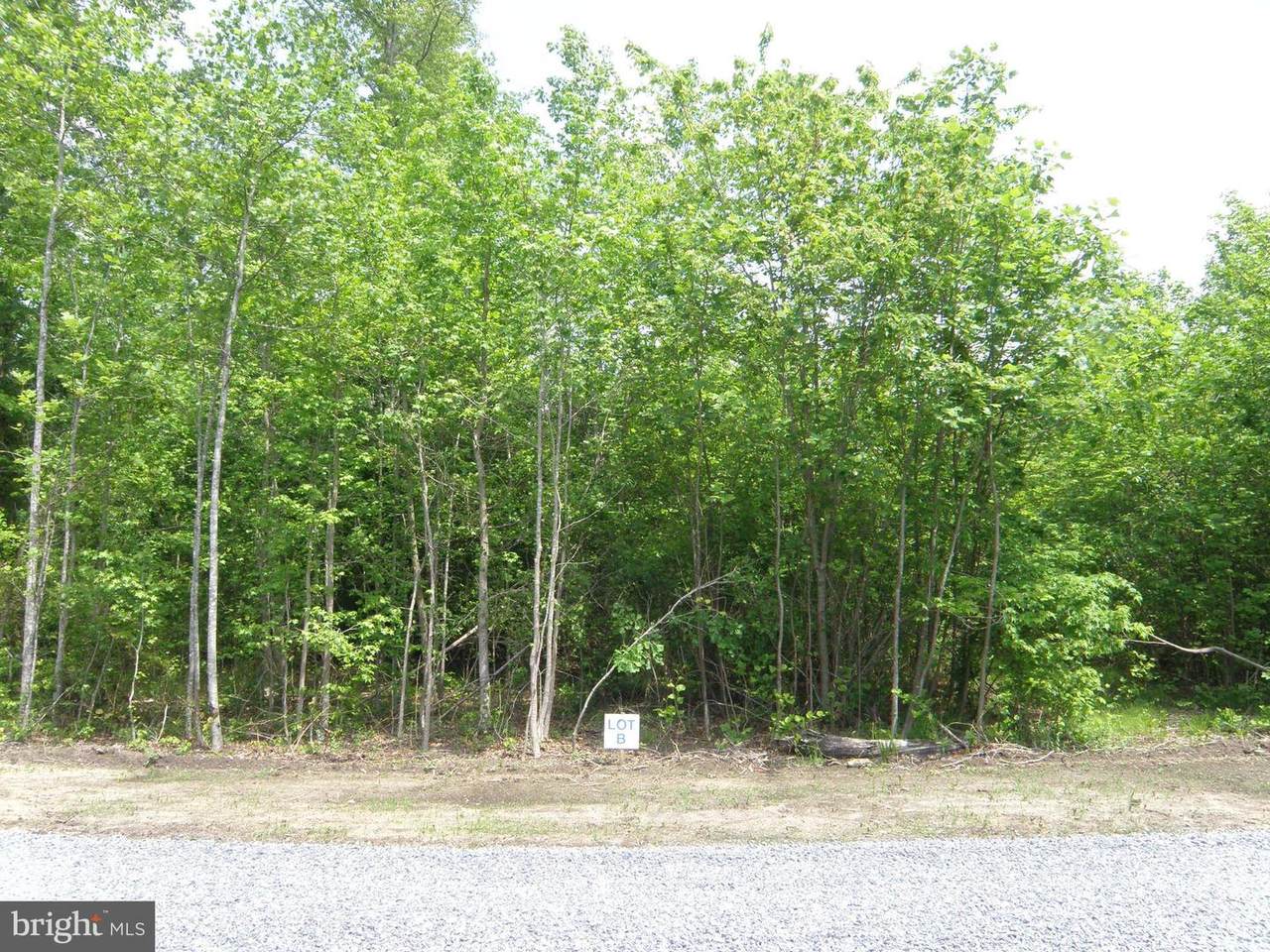 Lot B Easement Off Of Shortly Rd - Photo 1