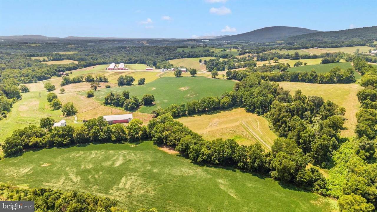 2820 Milt Summers Road - Photo 1