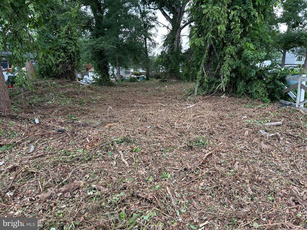 7814 Belvedere Drive - Photo 1