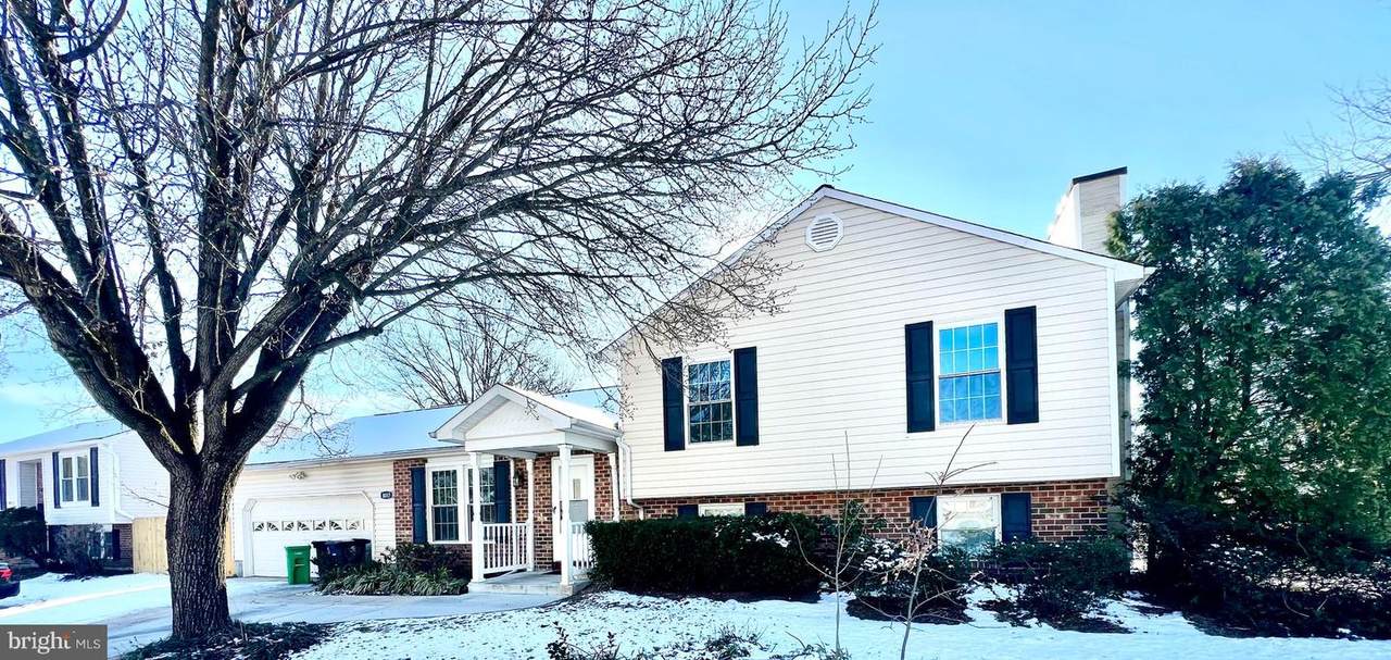 8017 Tiffany Lane - Photo 1