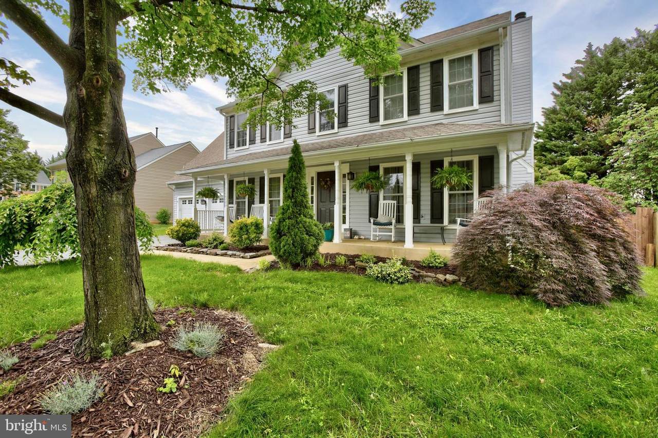 203 Snowden Court - Photo 1
