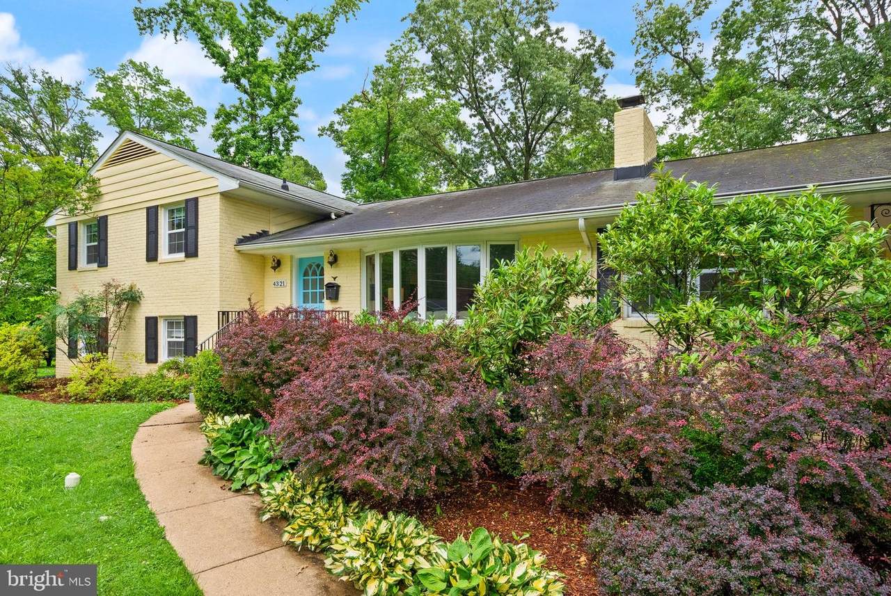 4321 Neptune Drive - Photo 1