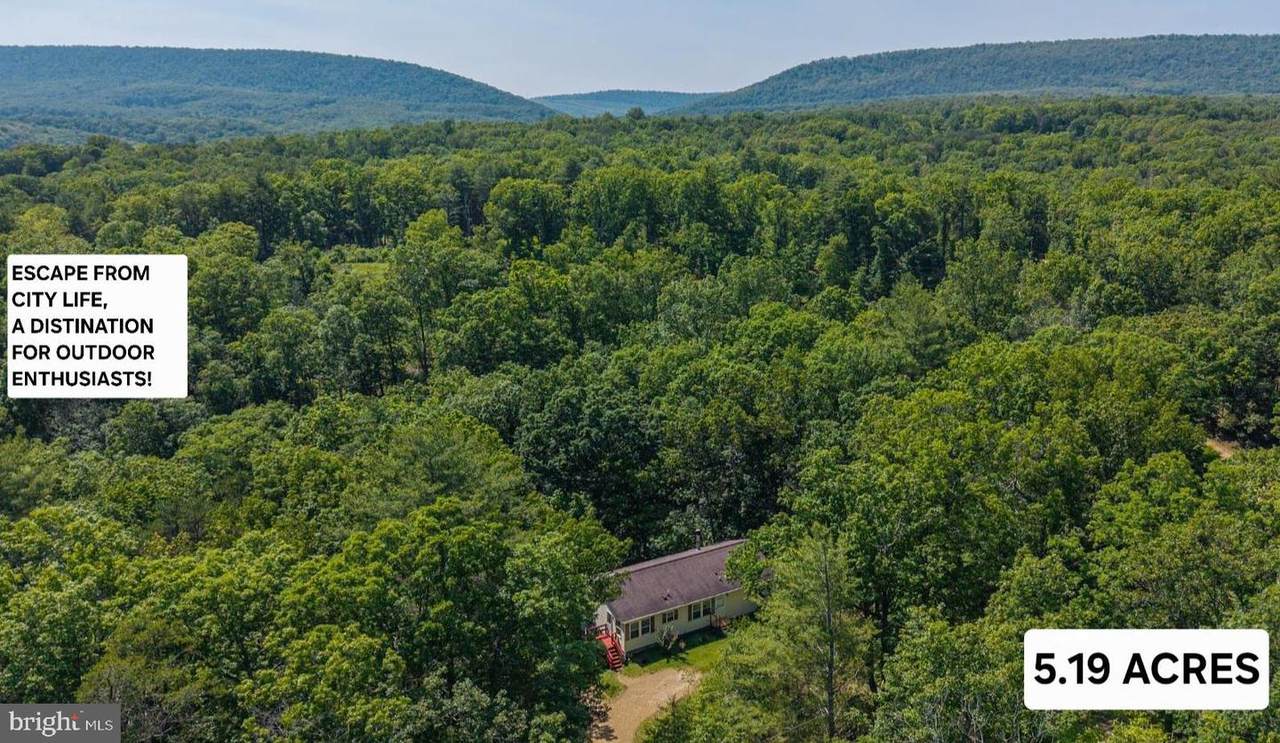 184 Winter Road - Photo 1