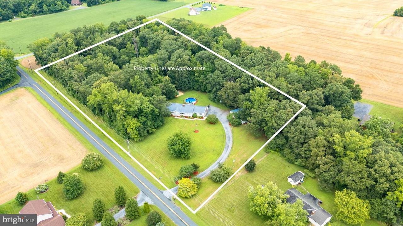 10527 Kittys Corner Road - Photo 1