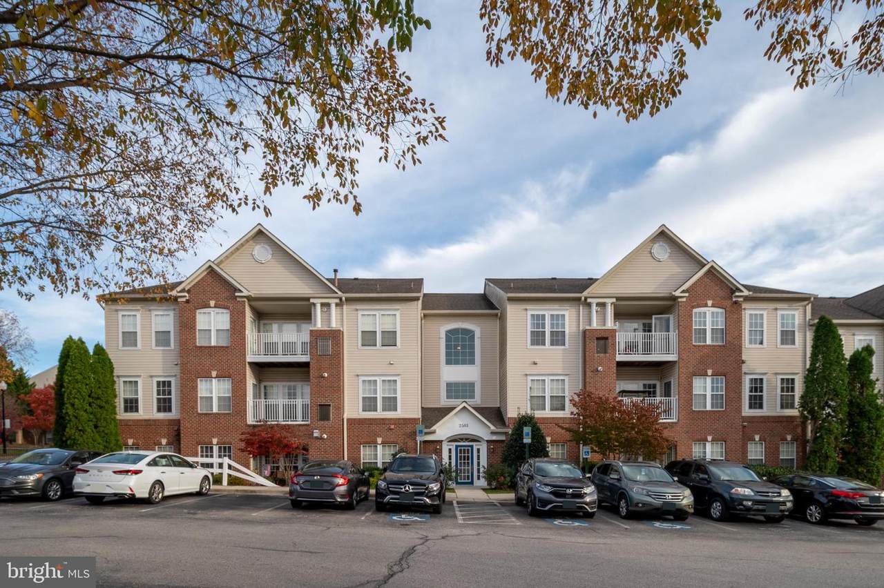 2503 Amber Orchard Court - Photo 1