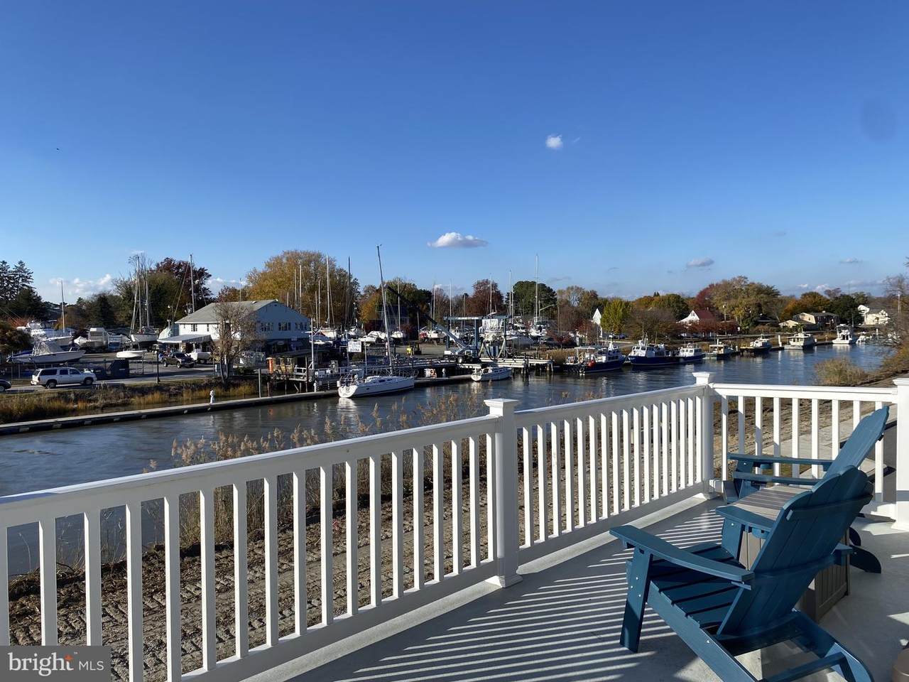 539 Cook Street - Photo 1