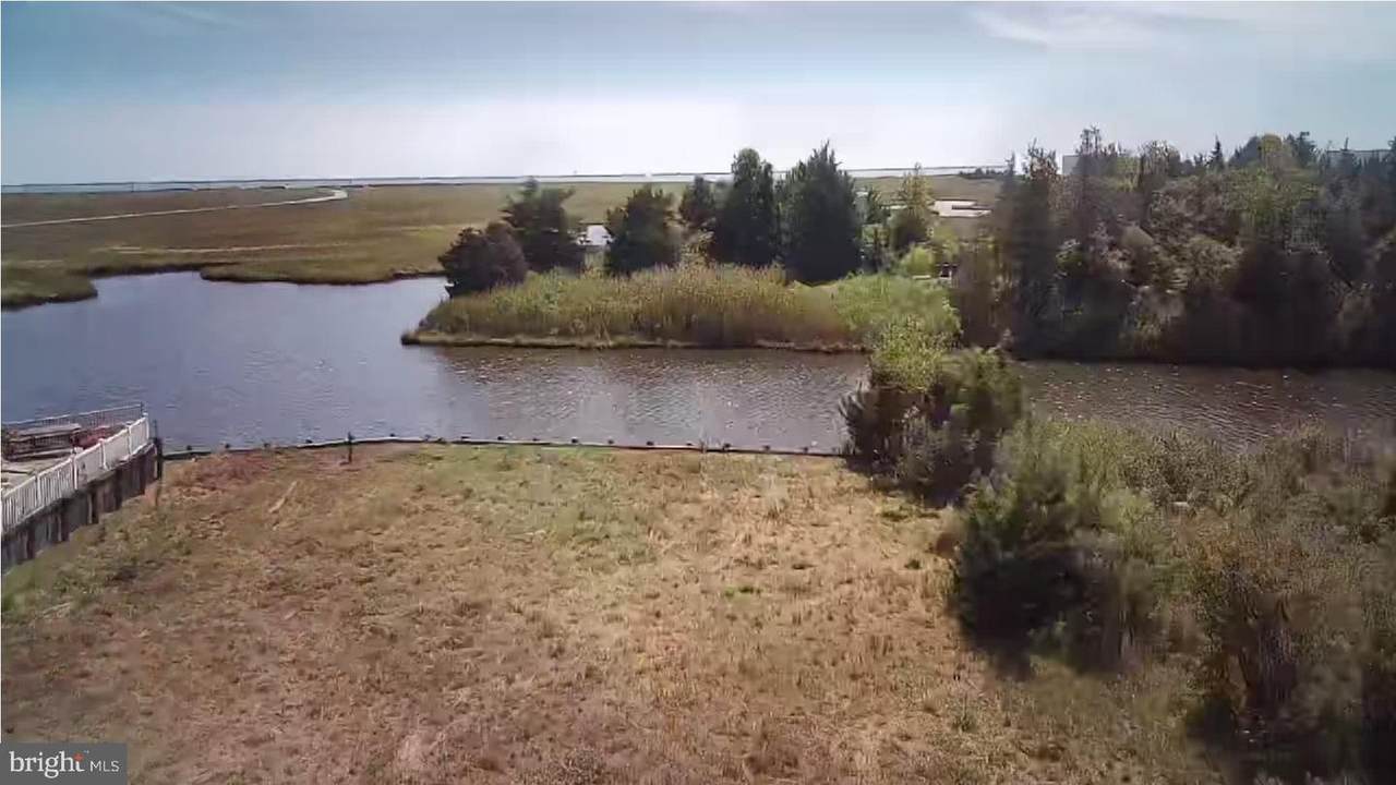 135 Juniper - Photo 1