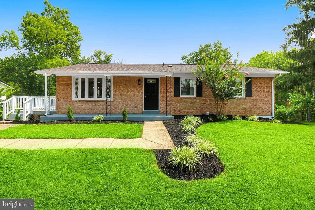 3311 Michele Lane - Photo 1