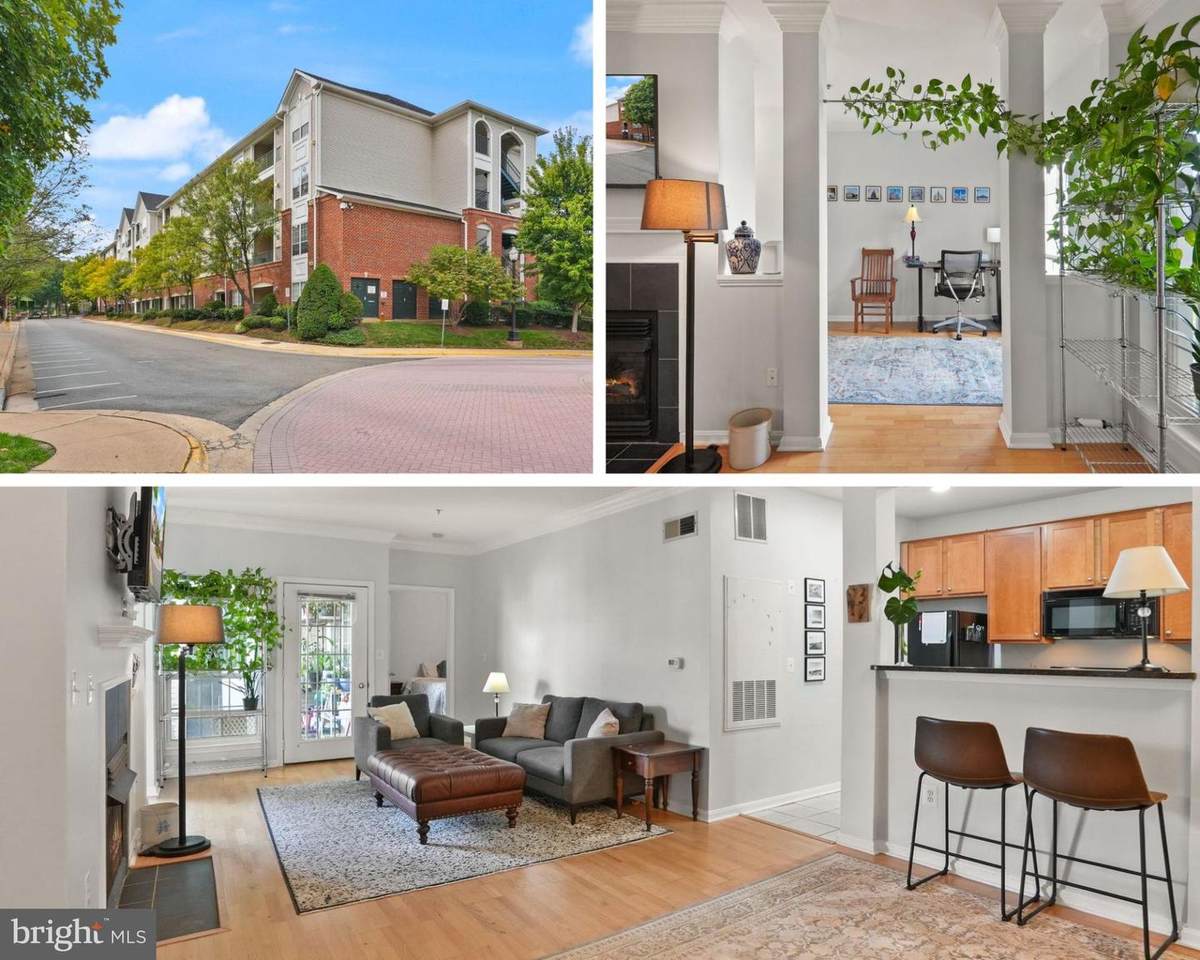 4854 Eisenhower Avenue - Photo 1