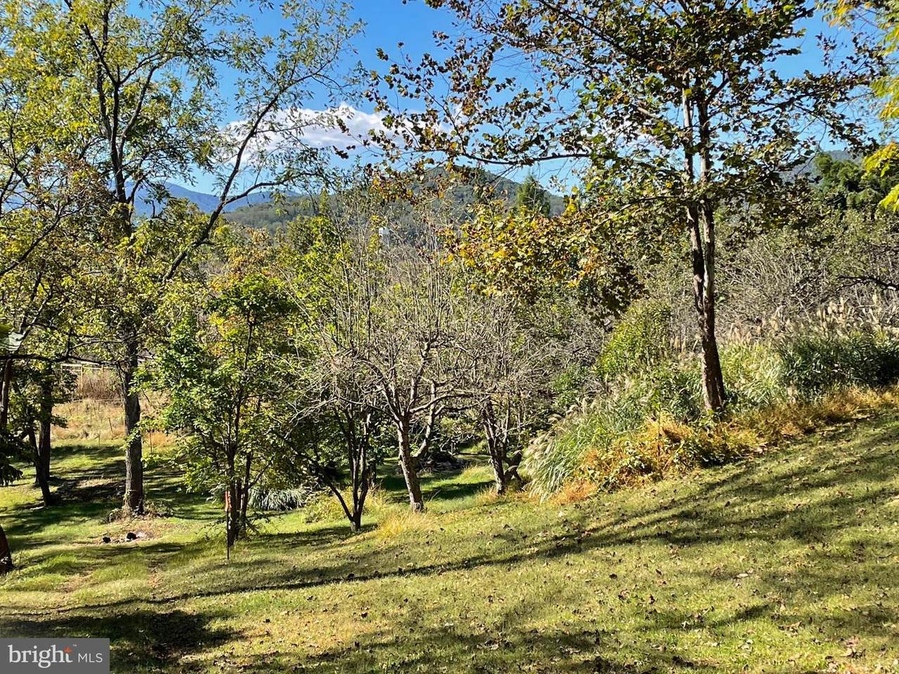  Tiger Valley Road - Photo 1