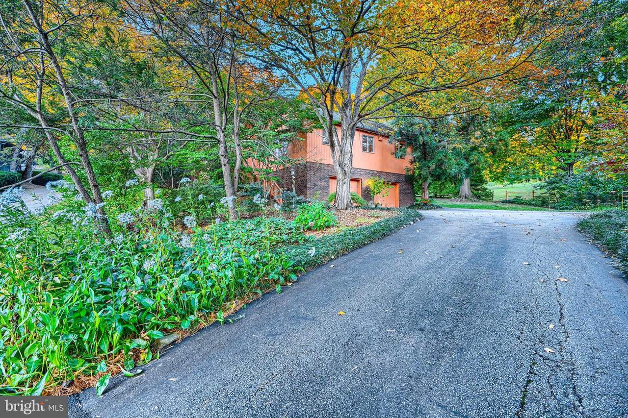 613 Chesapeake Avenue - Photo 1