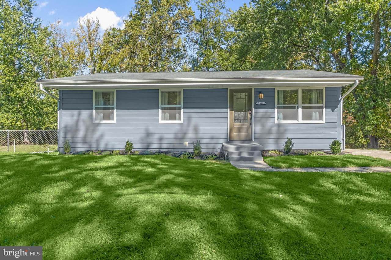 2910 Lumar Drive - Photo 1