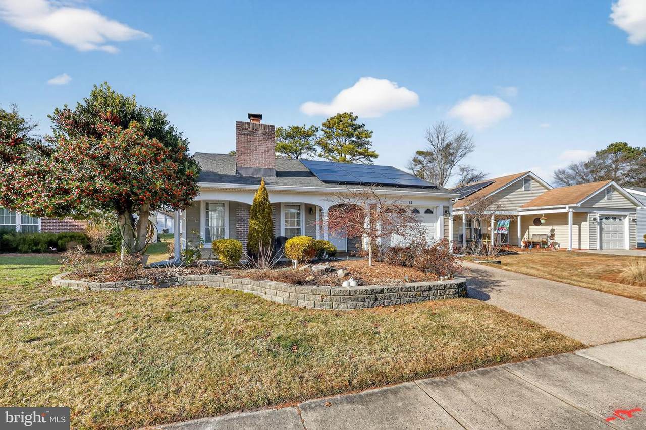 14 Burtons - Photo 1