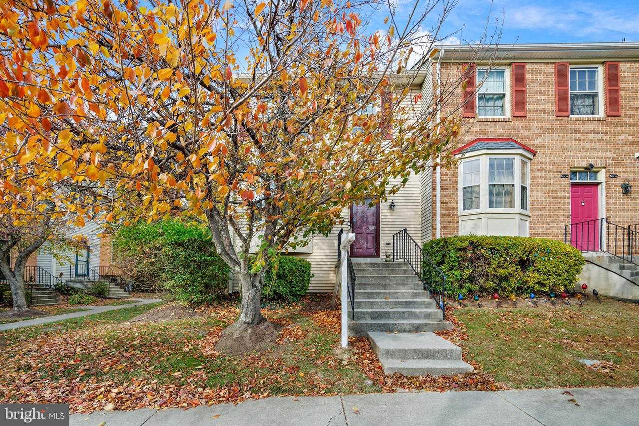 3824 Wildlife Lane - Photo 1