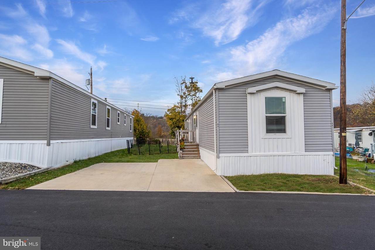 1041 Dogwood Street - Photo 1