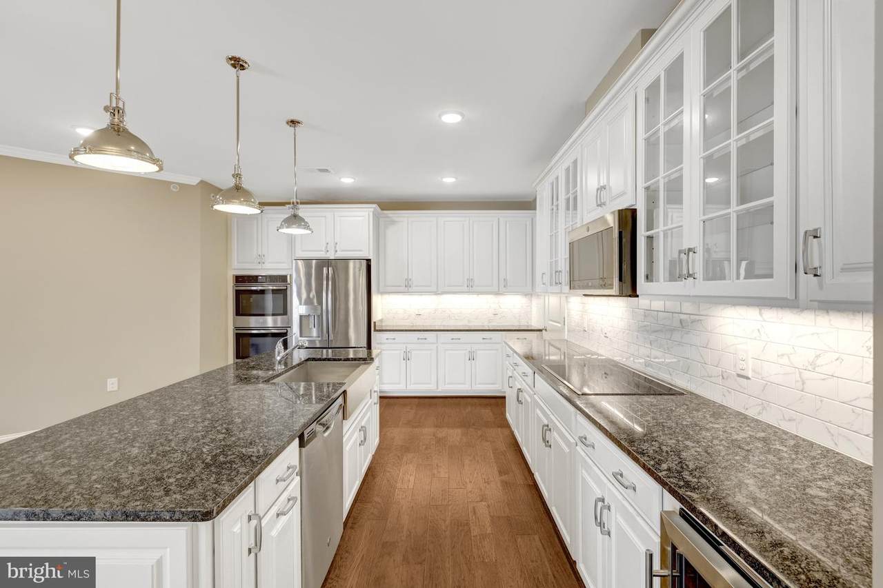 23631 Havelock Walk Terrace - Photo 1