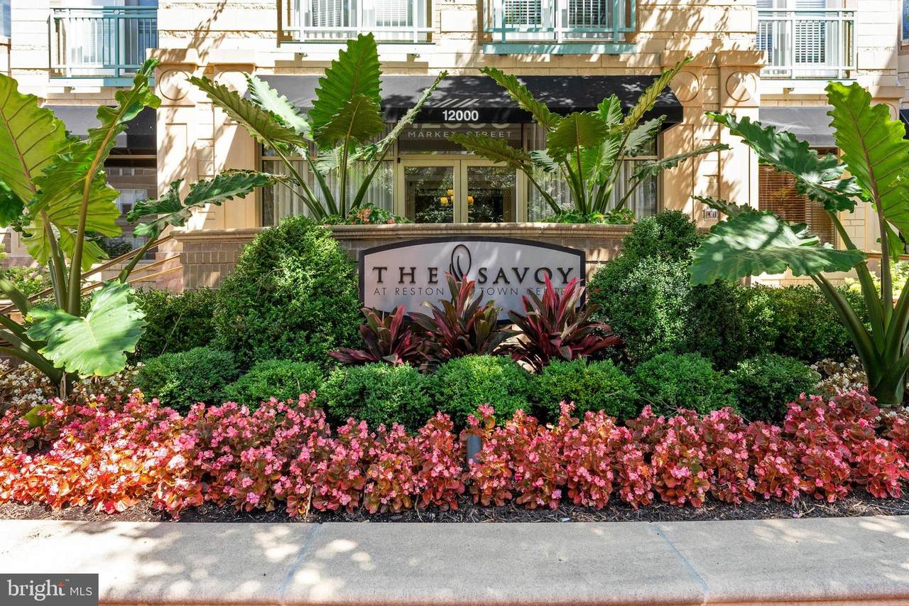 12000 Market Street - Photo 1