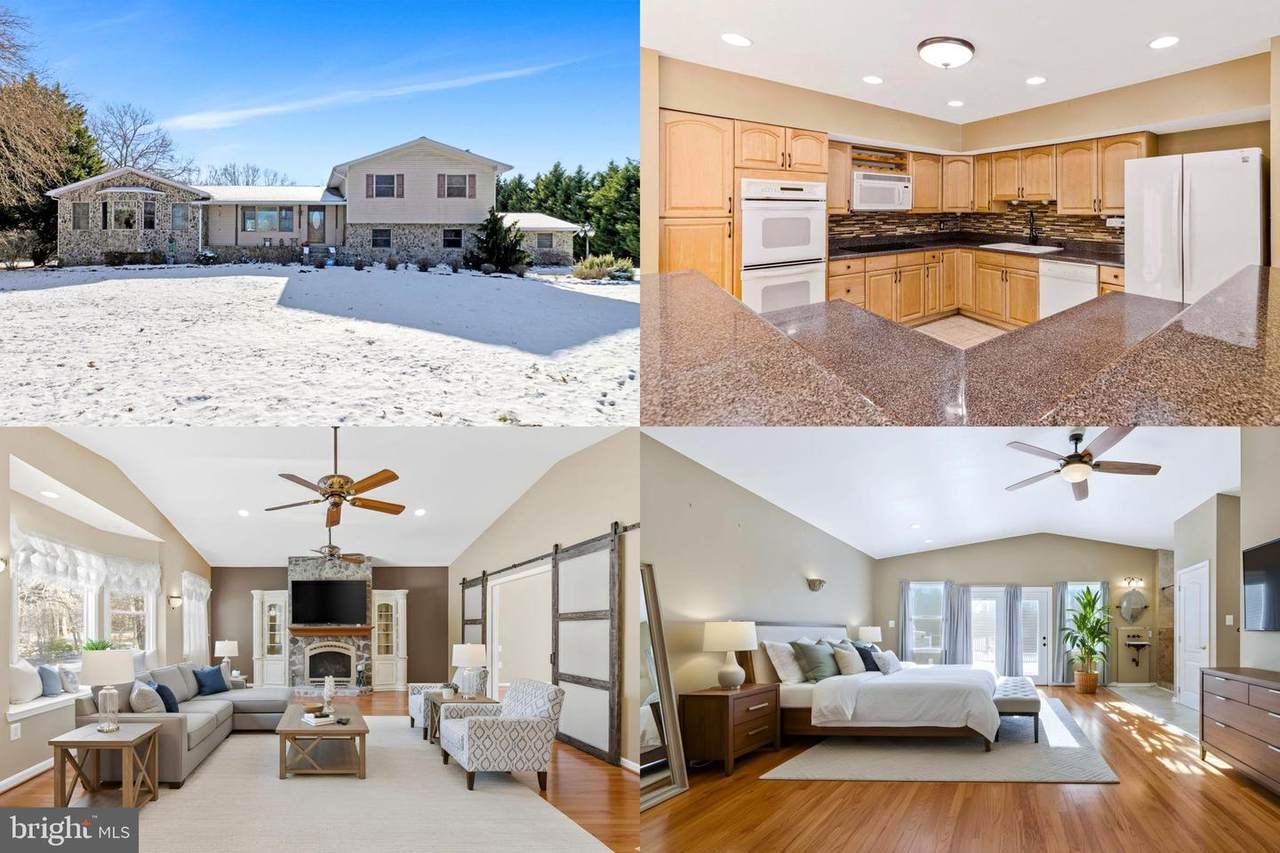 15295 Woodville Road - Photo 1