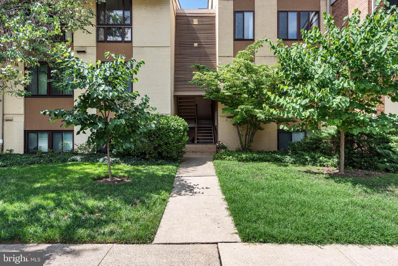 21 Hamill Road - Photo 1