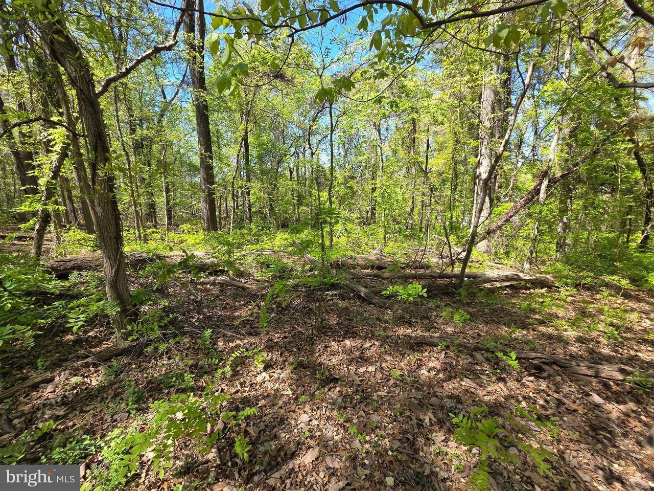  Riverdale Road - Photo 1