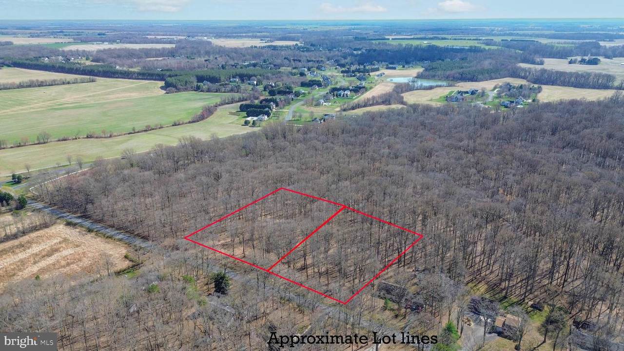 262 White Marsh Road - Photo 1
