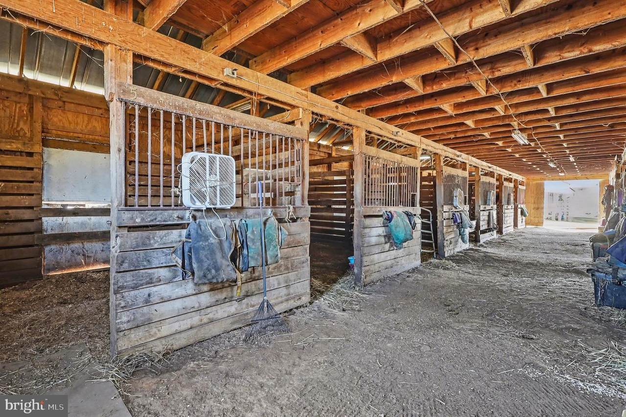 22244 Sam Fred Road - Photo 1