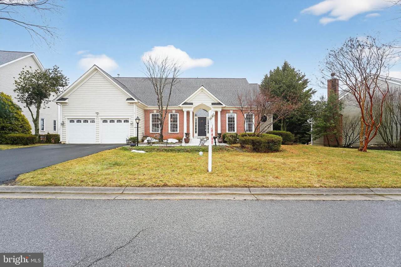 11103 Eagletrace Drive - Photo 1