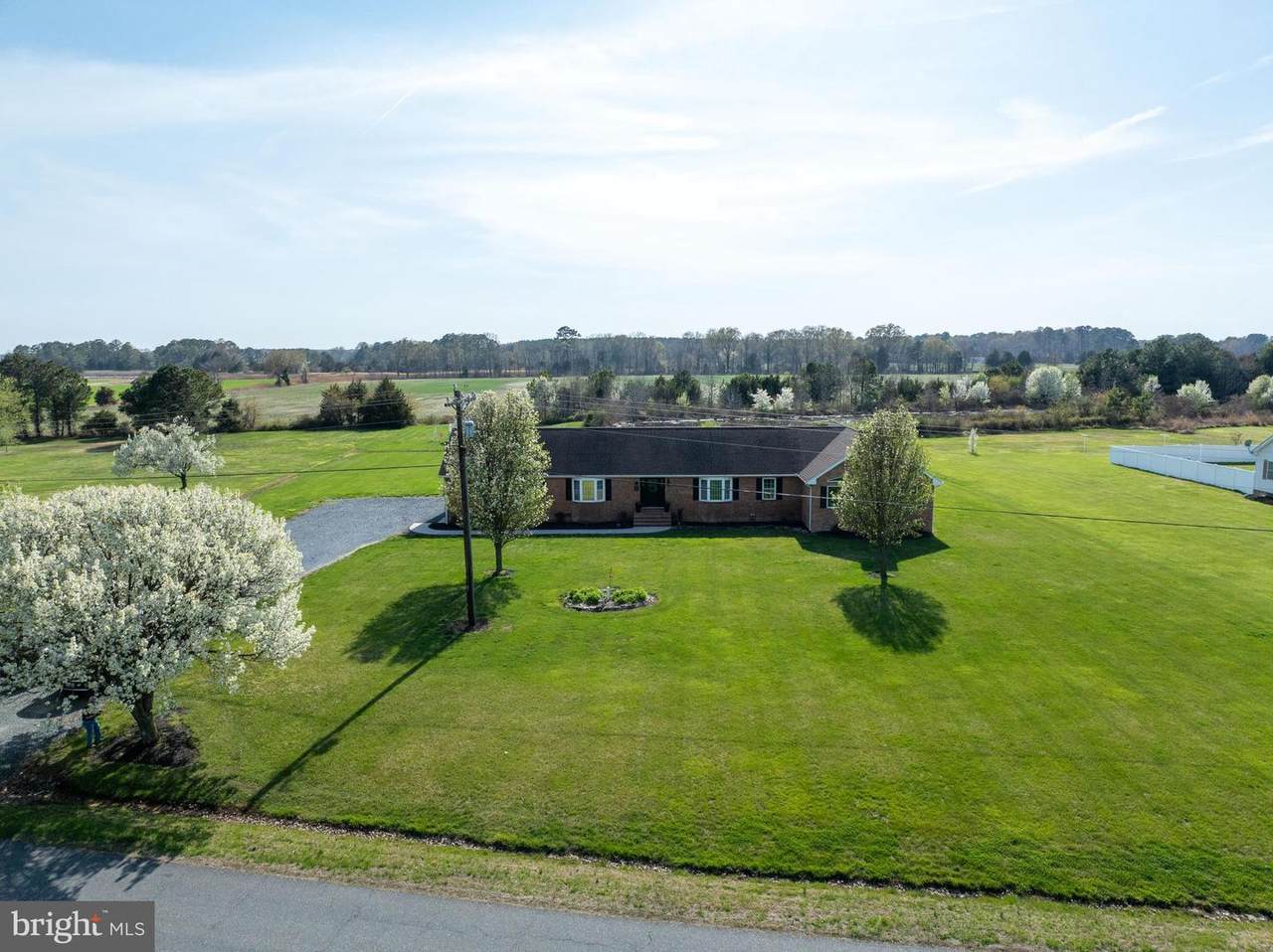 1911 Dailsville Road - Photo 1