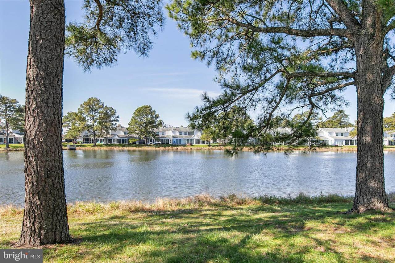 38096 Mockingbird Lane - Photo 1