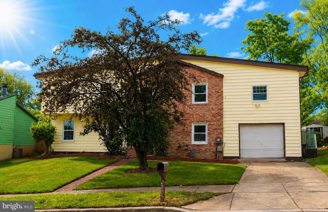2103 Willowtree Lane - Photo 1