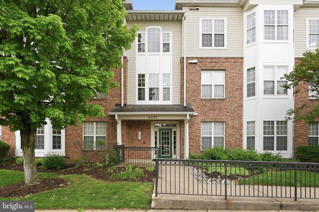 6481 Cheyenne Drive - Photo 1
