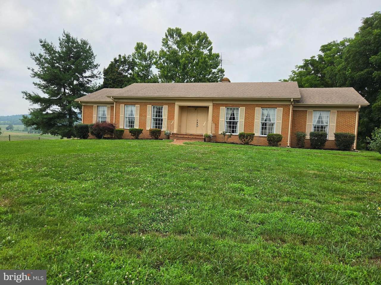 1611 Apple Pie Ridge Road - Photo 1