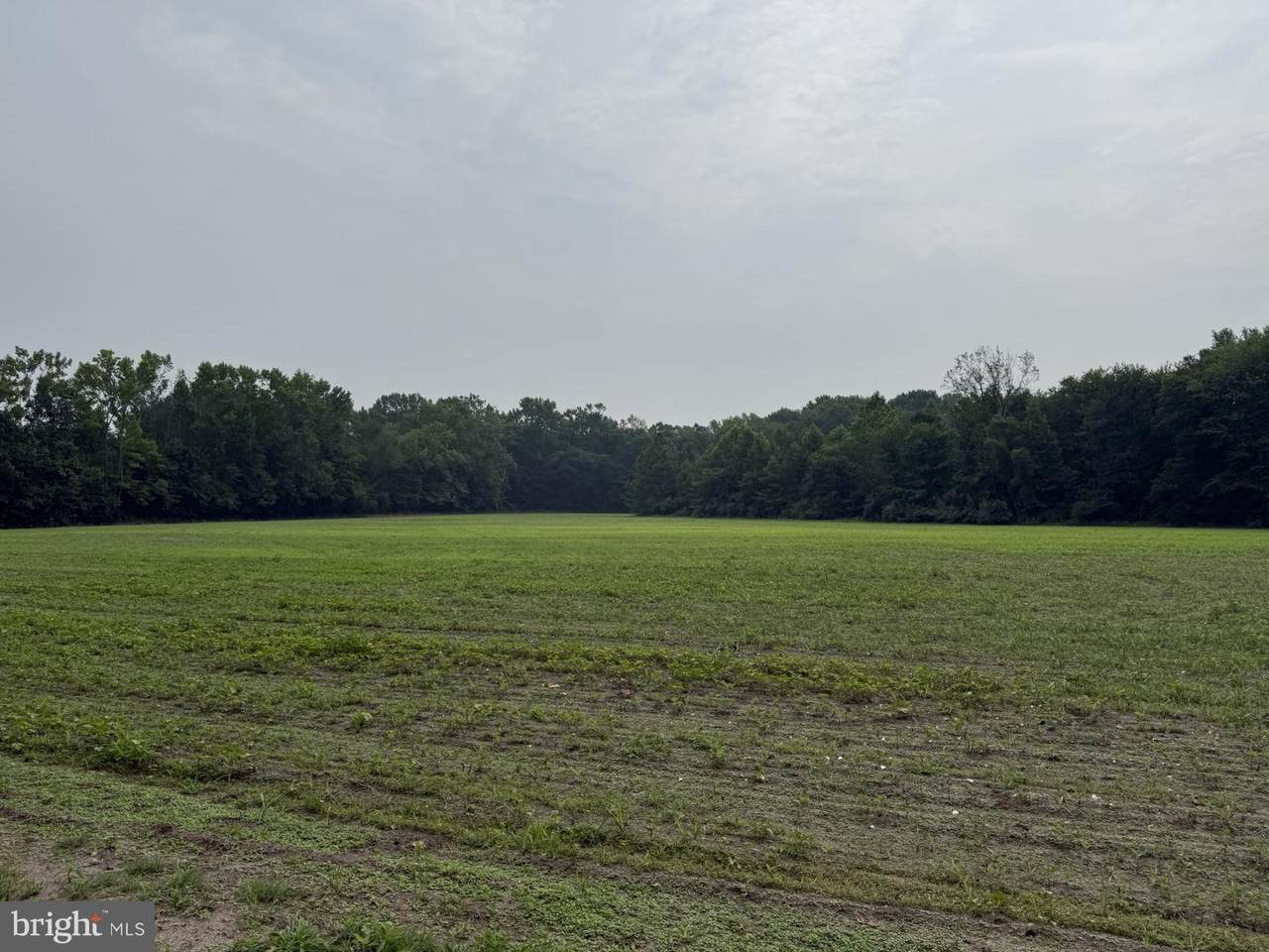 272 Pointville Road - Photo 1