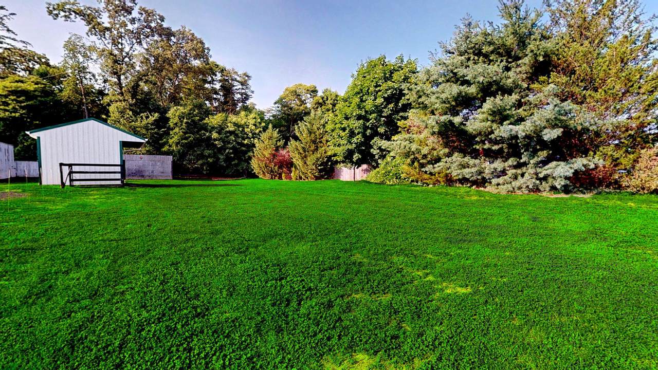 143 Hampton Street - Photo 1