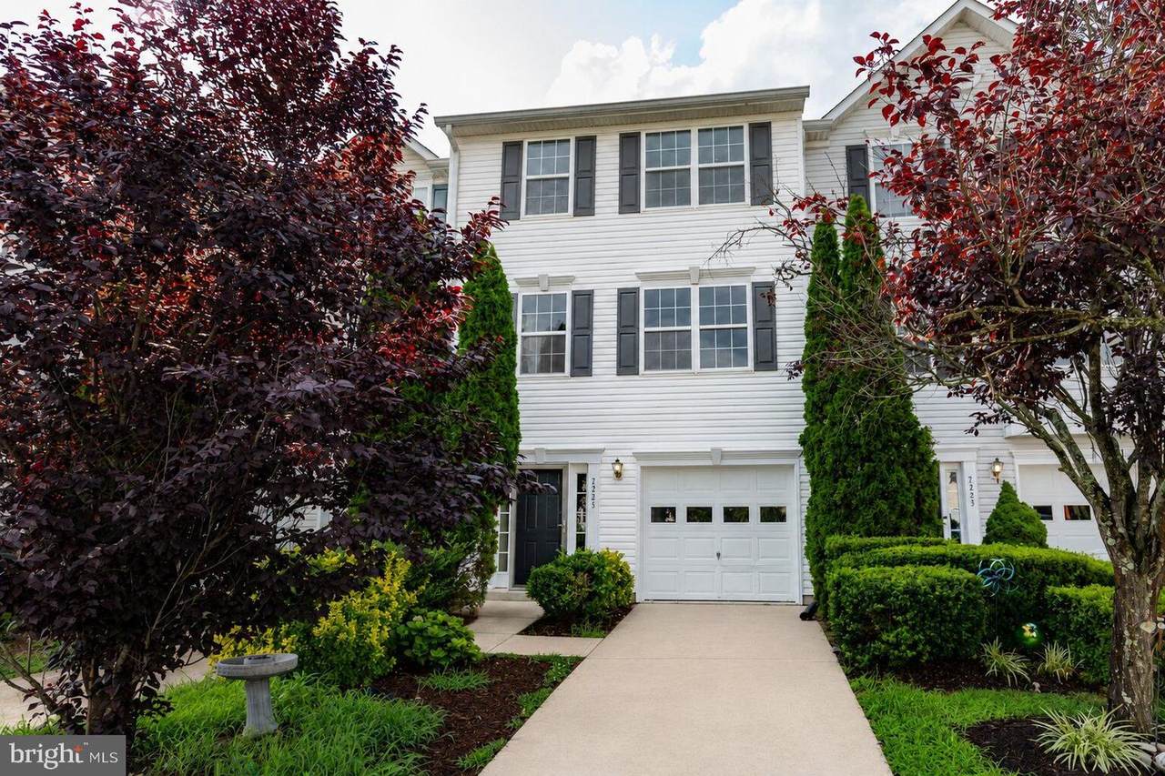 7225 Wytheville Circle - Photo 1
