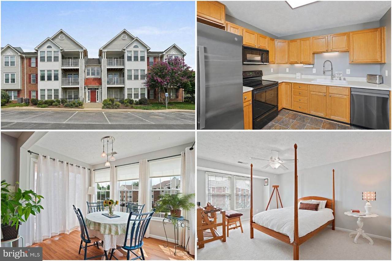 1603 Berry Rose Court - Photo 1