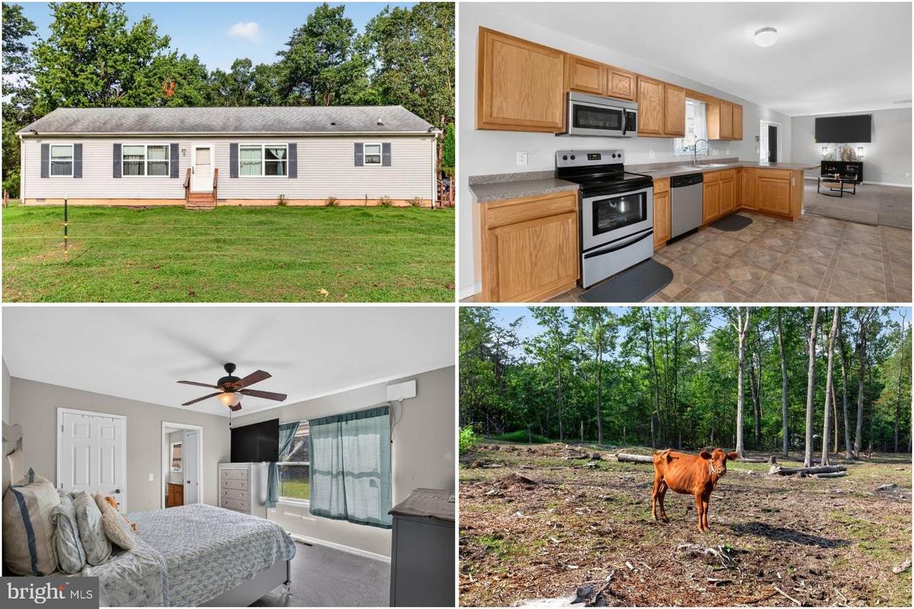 2905 Smith Point Road - Photo 1