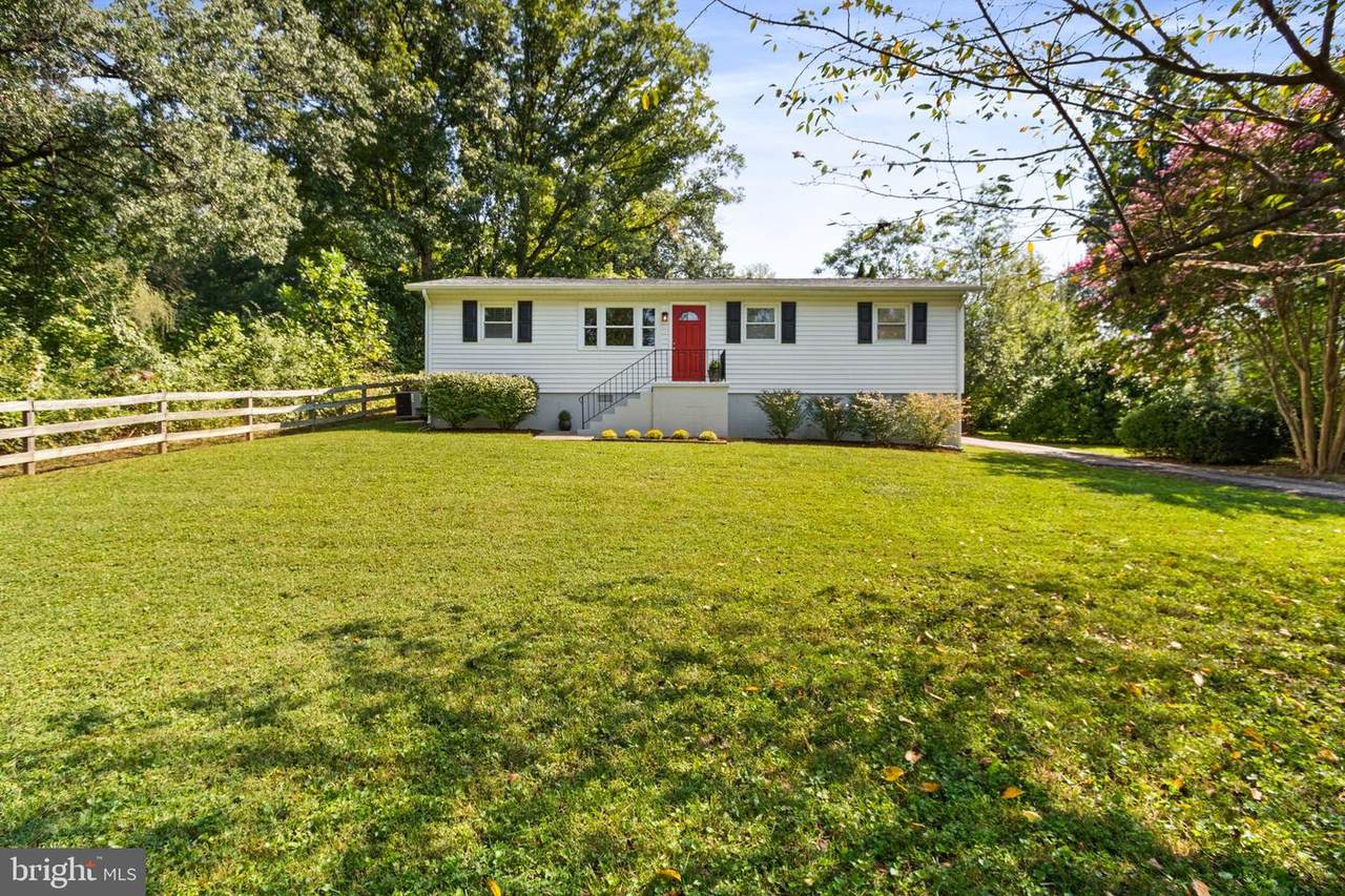 1404 Forbes Street - Photo 1